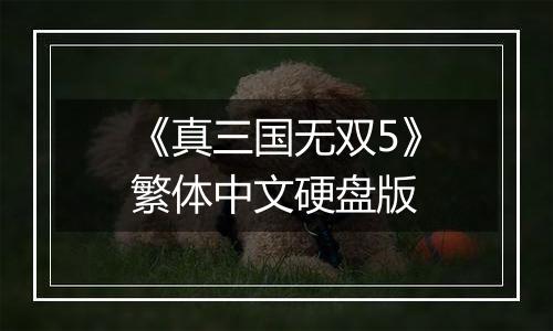 《真三国无双5》繁体中文硬盘版