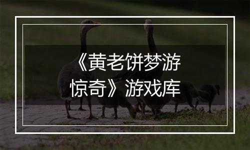 《黄老饼梦游惊奇》游戏库