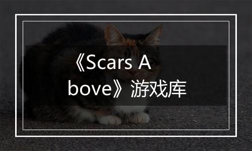 《Scars Above》游戏库