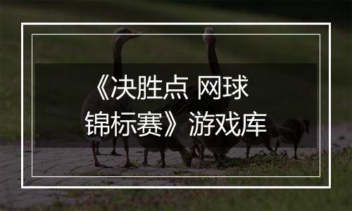 《决胜点 网球锦标赛》游戏库