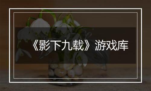 《影下九载》游戏库