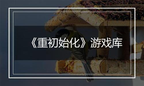 《重初始化》游戏库