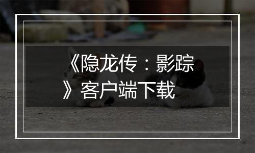 《隐龙传：影踪》客户端下载