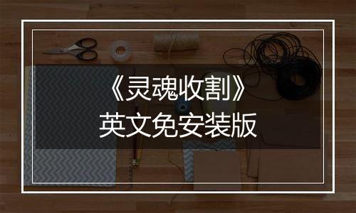《灵魂收割》英文免安装版