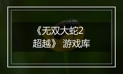 《无双大蛇2 超越》 游戏库
