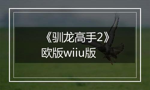 《驯龙高手2》欧版wiiu版