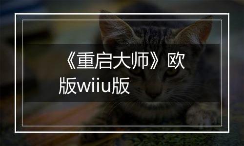 《重启大师》欧版wiiu版
