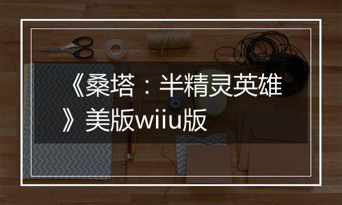 《桑塔：半精灵英雄》美版wiiu版