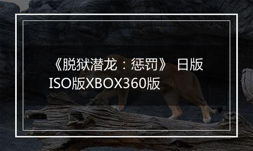 《脱狱潜龙：惩罚》 日版ISO版XBOX360版