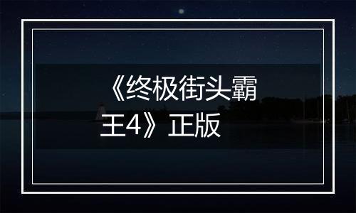 《终极街头霸王4》正版