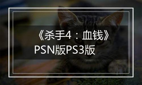 《杀手4：血钱》PSN版PS3版