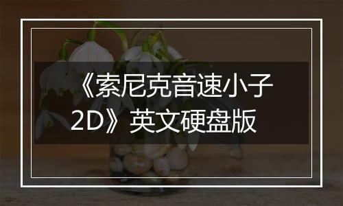 《索尼克音速小子2D》英文硬盘版