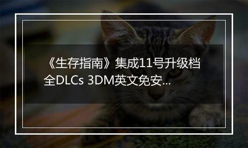 《生存指南》集成11号升级档 全DLCs 3DM英文免安装版