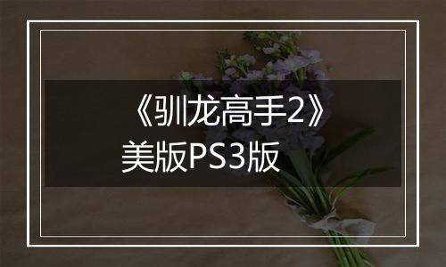 《驯龙高手2》美版PS3版