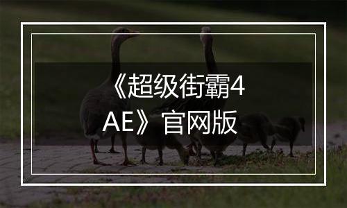 《超级街霸4AE》官网版