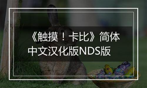 《触摸！卡比》简体中文汉化版NDS版