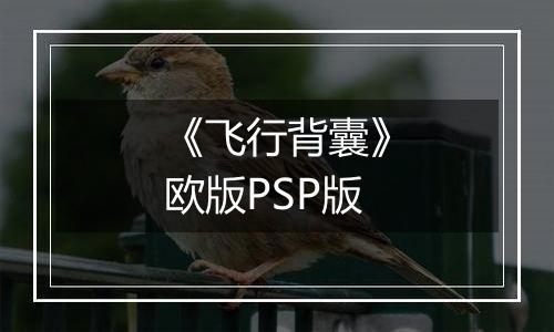《飞行背囊》欧版PSP版