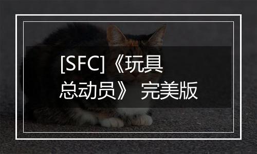 [SFC]《玩具总动员》 完美版