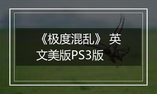《极度混乱》 英文美版PS3版