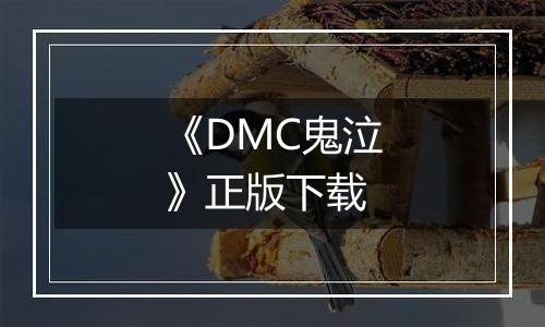 《DMC鬼泣》正版下载