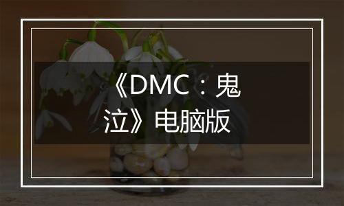 《DMC：鬼泣》电脑版
