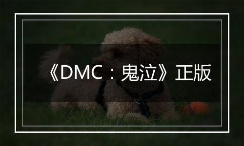 《DMC：鬼泣》正版