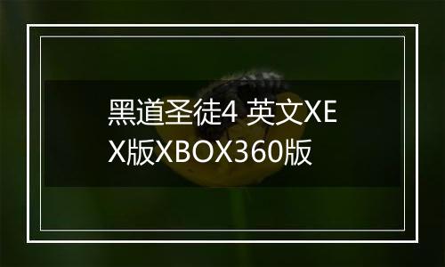 黑道圣徒4 英文XEX版XBOX360版