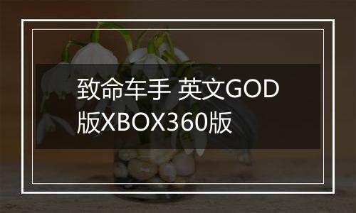 致命车手 英文GOD版XBOX360版