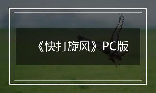 《快打旋风》PC版