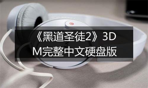 《黑道圣徒2》3DM完整中文硬盘版