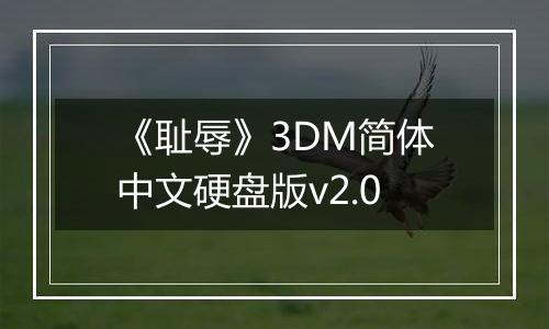 《耻辱》3DM简体中文硬盘版v2.0