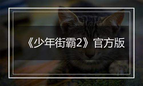 《少年街霸2》官方版