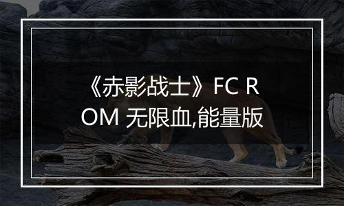 《赤影战士》FC ROM 无限血,能量版