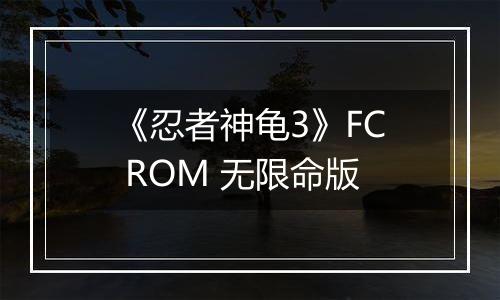 《忍者神龟3》FC ROM 无限命版