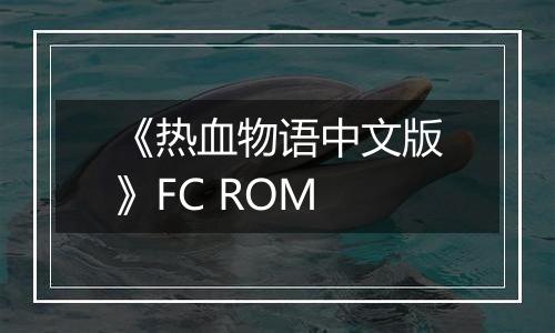 《热血物语中文版》FC ROM