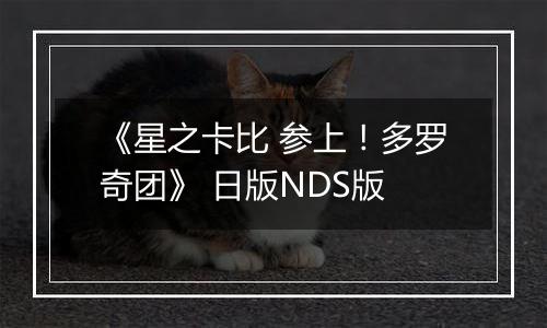 《星之卡比 参上！多罗奇团》 日版NDS版