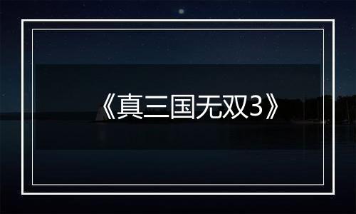 《真三国无双3》