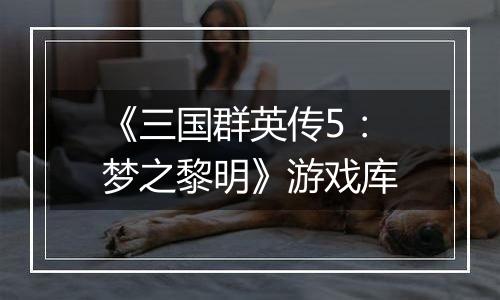 《三国群英传5：梦之黎明》游戏库
