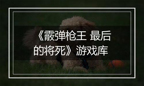 《霰弹枪王 最后的将死》游戏库
