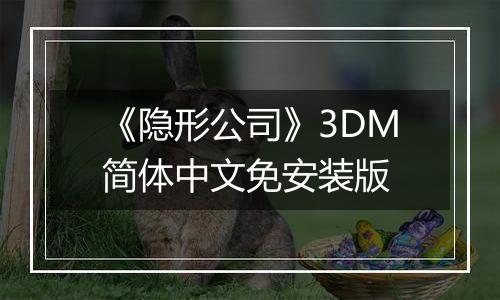 《隐形公司》3DM简体中文免安装版
