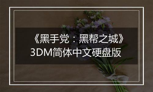 《黑手党：黑帮之城》3DM简体中文硬盘版