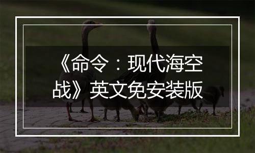 《命令：现代海空战》英文免安装版
