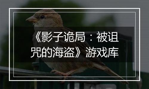 《影子诡局：被诅咒的海盗》游戏库