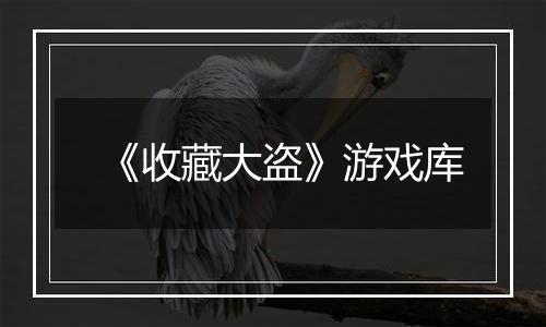 《收藏大盗》游戏库
