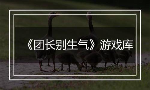 《团长别生气》游戏库