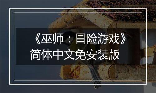 《巫师：冒险游戏》简体中文免安装版