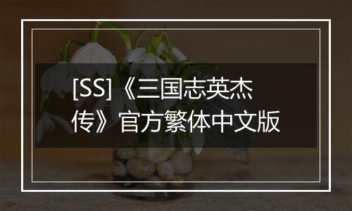 [SS]《三国志英杰传》官方繁体中文版