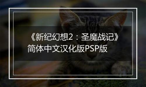 《新纪幻想2：圣魔战记》简体中文汉化版PSP版