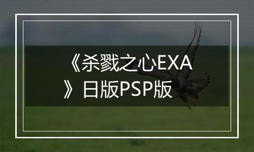 《杀戮之心EXA》日版PSP版