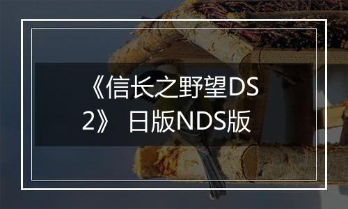 《信长之野望DS 2》 日版NDS版